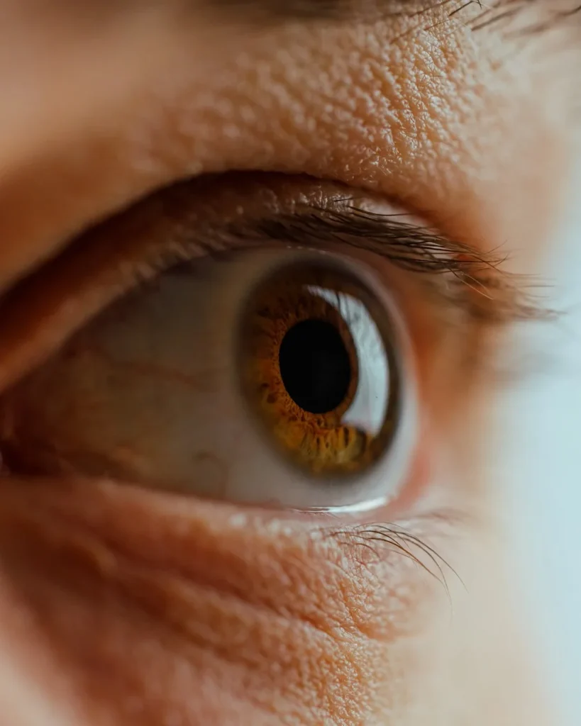 Stock photo – replace with real work: eye with natural lashes, macro close-up