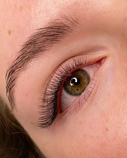 Volume Lashes result