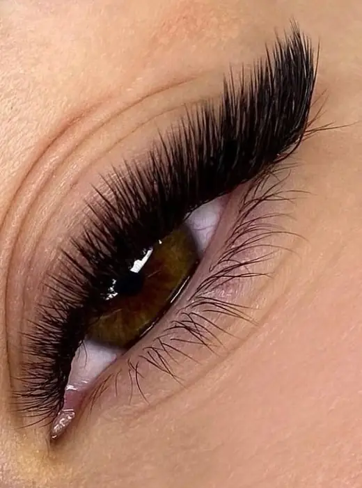 Designed Lashes result