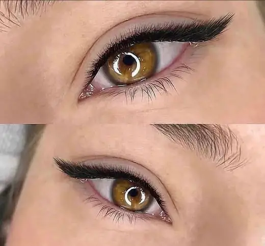 Designed Lashes result
