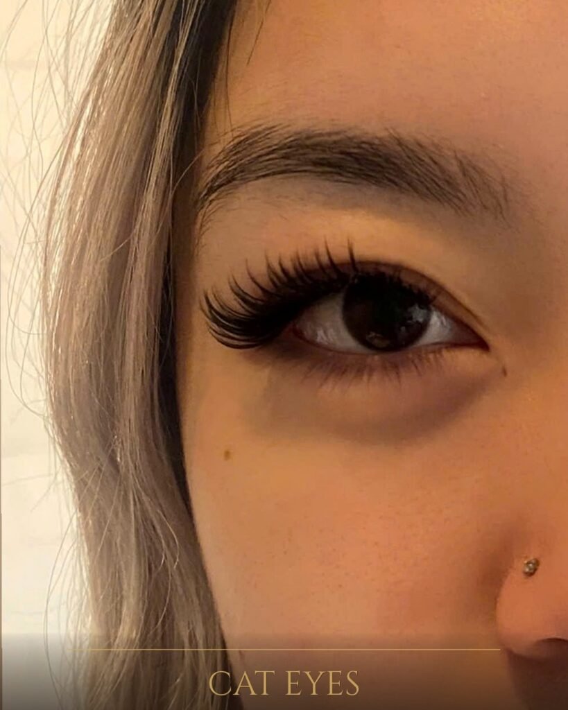 Designed – Cat Eyes — CHIQUE AESTHETIC
