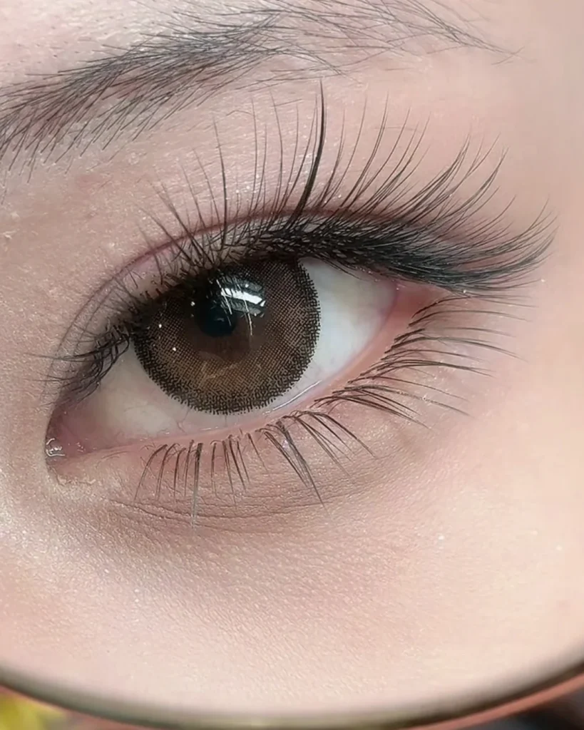 Lash extensions seen through a gold-rimmed mirror — CHIQUE AESTHETIC