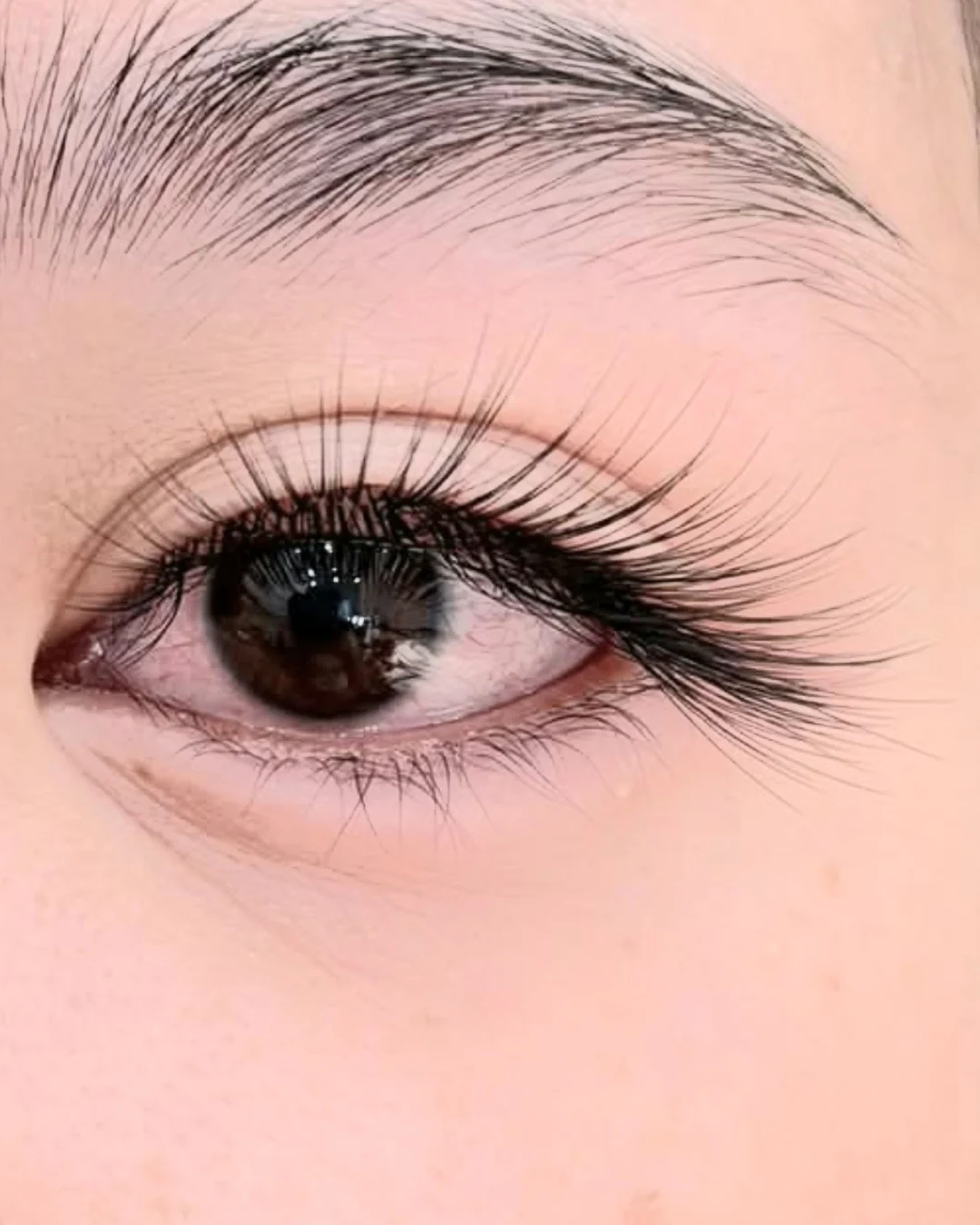 Close-up of soft, open-eye lash extensions — CHIQUE AESTHETIC